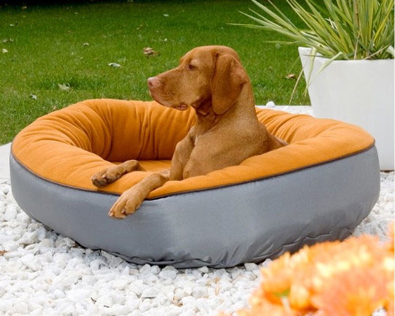 Pet bed