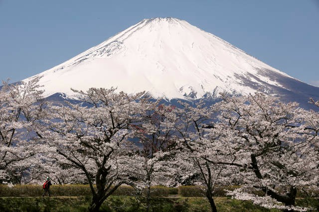 日本专线小包