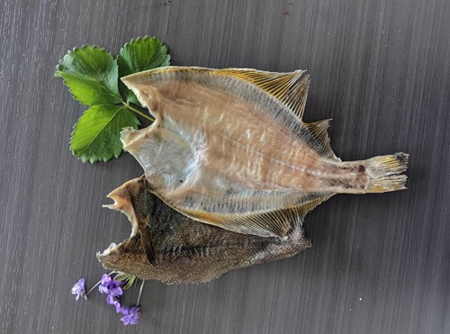 烘干鲽鱼干