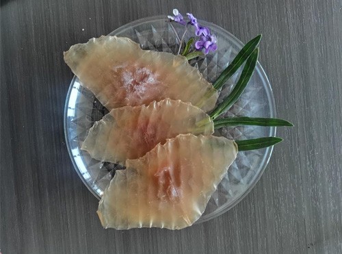 烘干去皮鱿鱼耳片